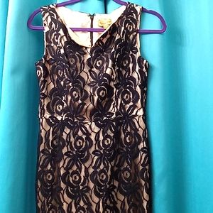 Midnight Vetvet Elegant Black Lace dress